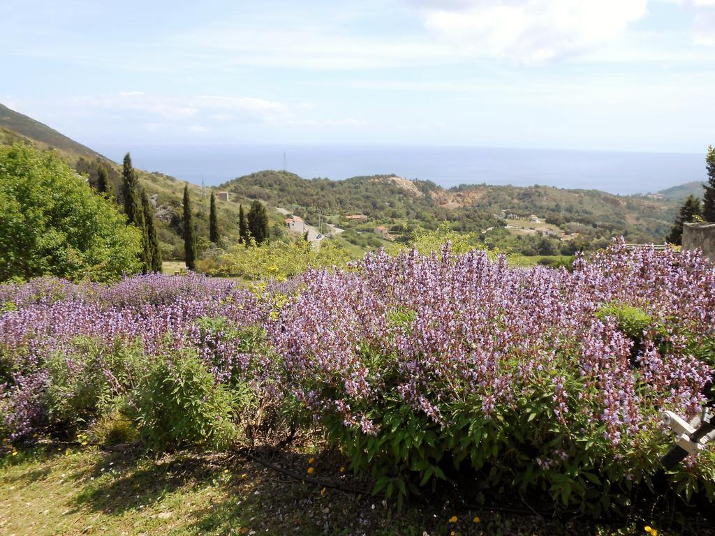 Elbadoc Camping Village Cavo Exterior photo